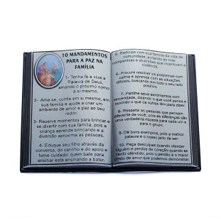 Bíblia com 10 Mandamentos para Paz na Família Prata Velha