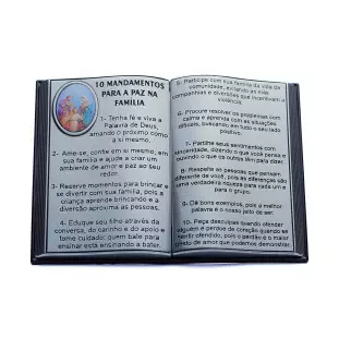 Bíblia com 10 Mandamentos para Paz na Família Prata Velha